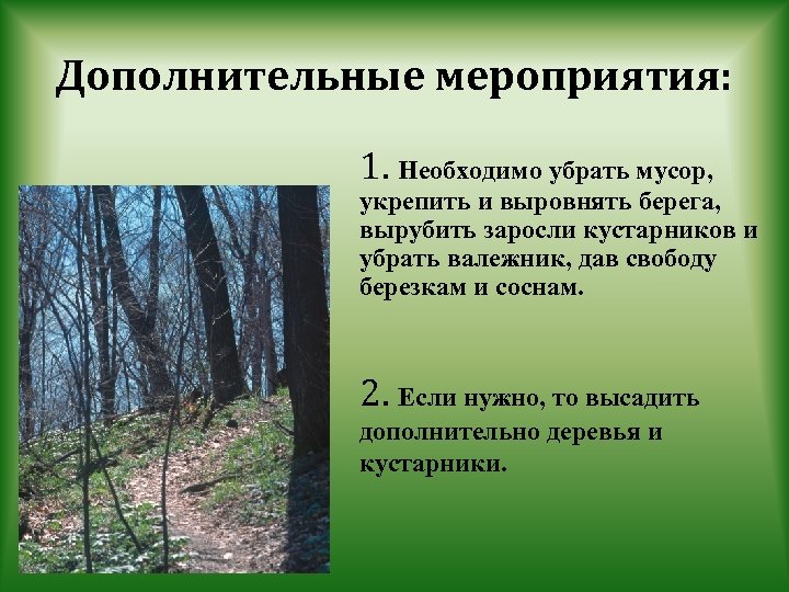 Дополнительные мероприятия: 1. Необходимо убрать мусор, укрепить и выровнять берега, вырубить заросли кустарников и