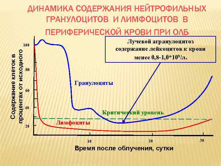 ДИНАМИКА СОДЕРЖАНИЯ НЕЙТРОФИЛЬНЫХ ГРАНУЛОЦИТОВ И ЛИМФОЦИТОВ В ПЕРИФЕРИЧЕСКОЙ КРОВИ ПРИ ОЛБ Лучевой агранулоцитоз содержание