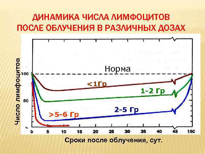 Число лимфоцитов ДИНАМИКА ЧИСЛА ЛИМФОЦИТОВ ПОСЛЕ ОБЛУЧЕНИЯ В РАЗЛИЧНЫХ ДОЗАХ Норма <1 Гр >5