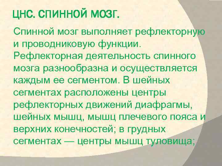 ЦНС. СПИННОЙ МОЗГ. Спинной мозг выполняет рефлекторную и проводниковую функции. Рефлекторная деятельность спинного мозга