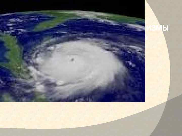 АНАТОМО-ФИЗИОЛОГИЧЕСКИЕ МЕХАНИЗМЫ БЕЗОПАСНОСТИ И ЗАЩИТЫ ЧЕЛОВЕКА ОТ НЕГАТИВНЫХ ВОЗДЕЙСТВИЙ. 