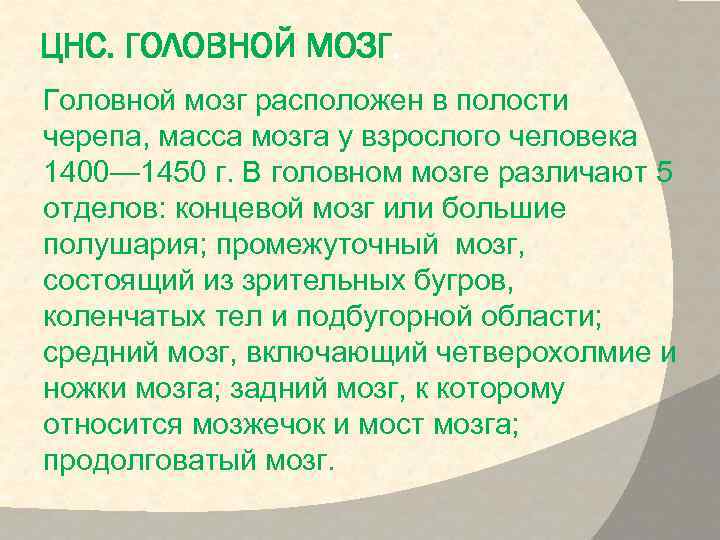 ЦНС. ГОЛОВНОЙ МОЗГ. Головной мозг расположен в полости черепа, масса мозга у взрослого человека