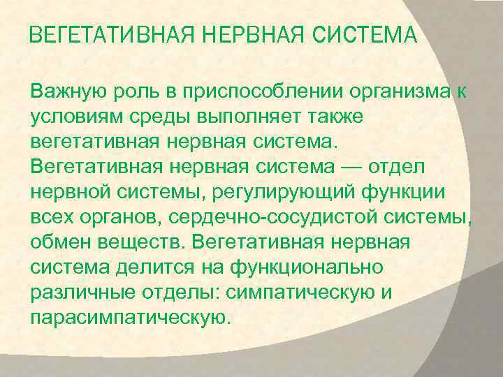 ВЕГЕТАТИВНАЯ НЕРВНАЯ СИСТЕМА Важную роль в приспособлении организма к условиям среды выполняет также вегетативная