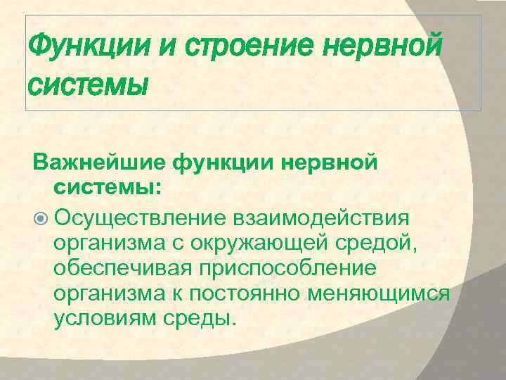 Функции и строение нервной системы Важнейшие функции нервной системы: Осуществление взаимодействия организма с окружающей