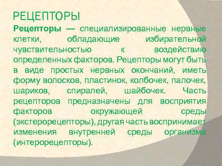 РЕЦЕПТОРЫ Рецепторы — специализированные нервные клетки, обладающие избирательной чувствительностью к воздействию определенных факторов. Рецепторы