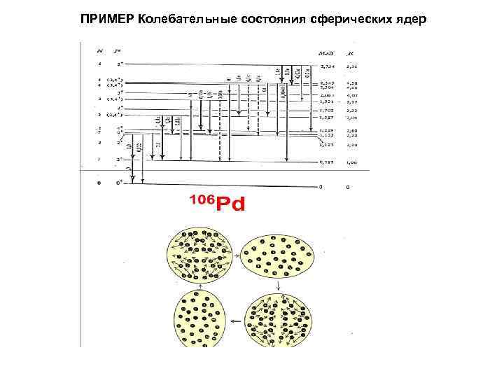 ПРИМЕР Колебательные состояния сферических ядер 