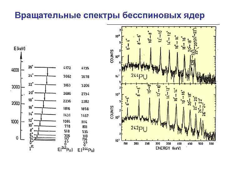 Вращательные спектры бесспиновых ядер 