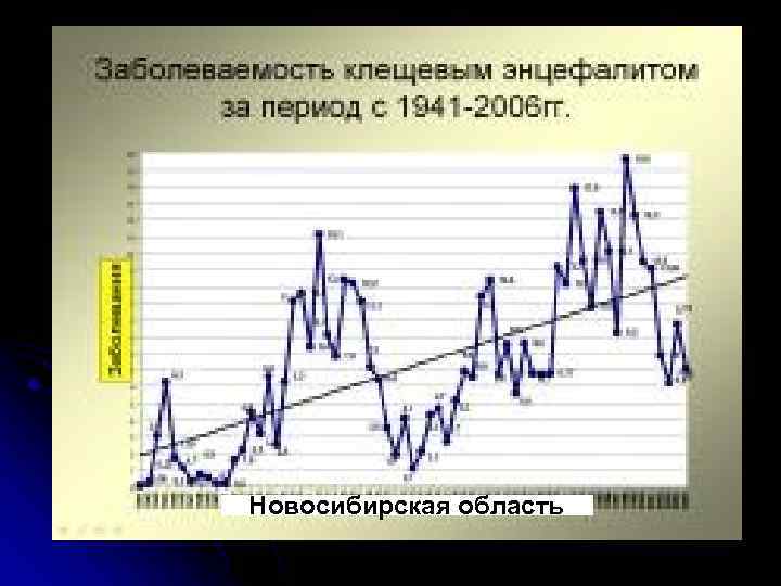 Новосибирская область 