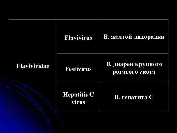 Flavivirus Flaviviridae В. желтой лихорадки Pestivirus В. диареи крупного рогатого скота Hepatitis C virus