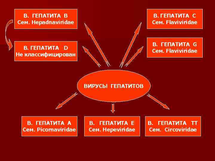 В. ГЕПАТИТА В Сем. Hepadnaviridae В. ГЕПАТИТА С Сем. Flaviviridae В. ГЕПАТИТА G Сем.