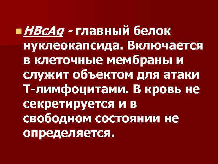 n HBc. Ag - главный белок нуклеокапсида. Включается в клеточные мембраны и служит объектом