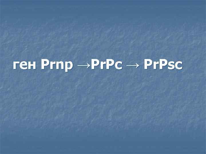 ген Prnp →Pr. Pc → Pr. Psc 