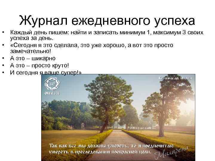 Журнал ежедневного успеха • Каждый день пишем: найти и записать минимум 1, максимум 3