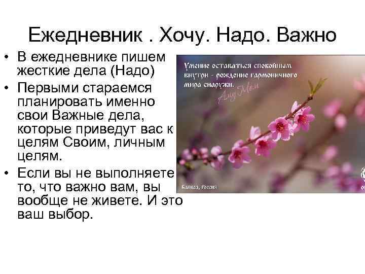 Ежедневник. Хочу. Надо. Важно • В ежедневнике пишем жесткие дела (Надо) • Первыми стараемся
