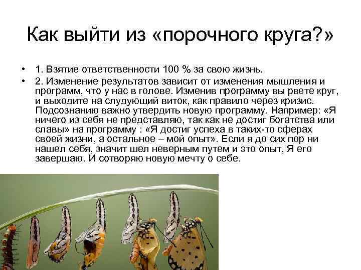 Как выйти из «порочного круга? » • 1. Взятие ответственности 100 % за свою