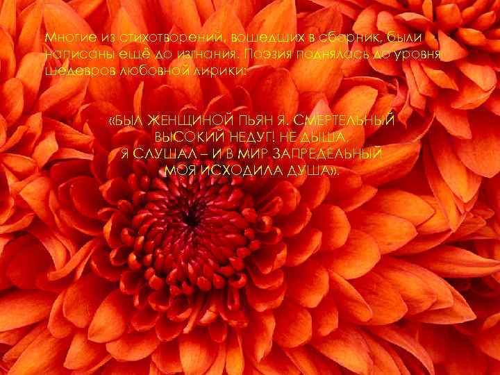 Многие из стихотворений, вошедших в сборник, были написаны ещё до изгнания. Поэзия поднялась до