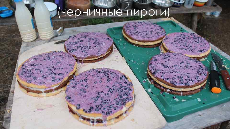 (черничные пироги) 