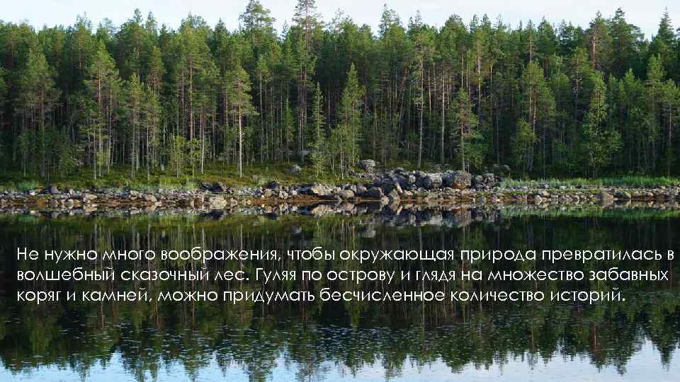 Не нужно много воображения, чтобы окружающая природа превратилась в волшебный сказочный лес. Гуляя по