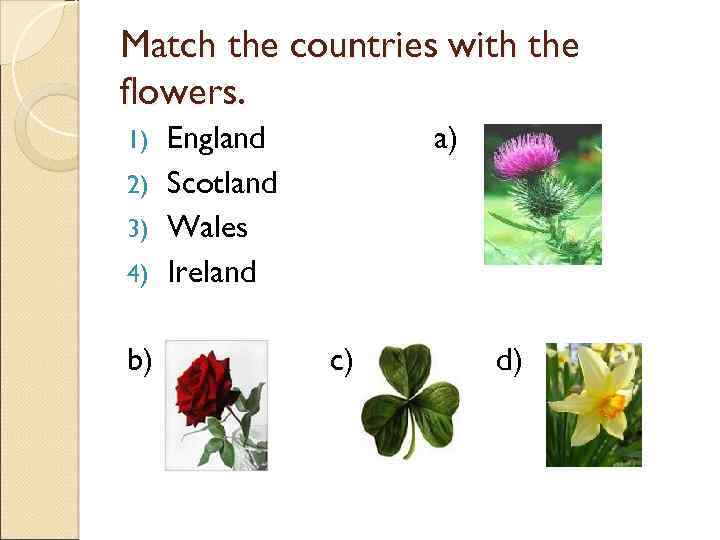 Match the countries with the flowers. England 2) Scotland 3) Wales 4) Ireland a)