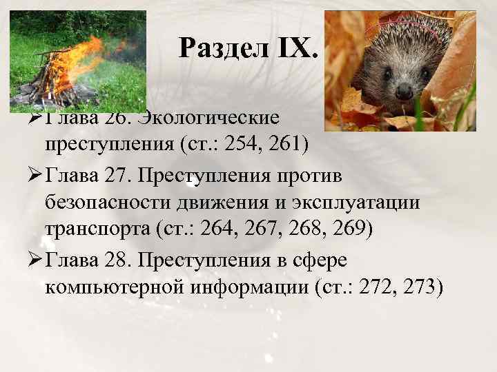 Раздел IX. Ø Глава 26. Экологические преступления (ст. : 254, 261) Ø Глава 27.