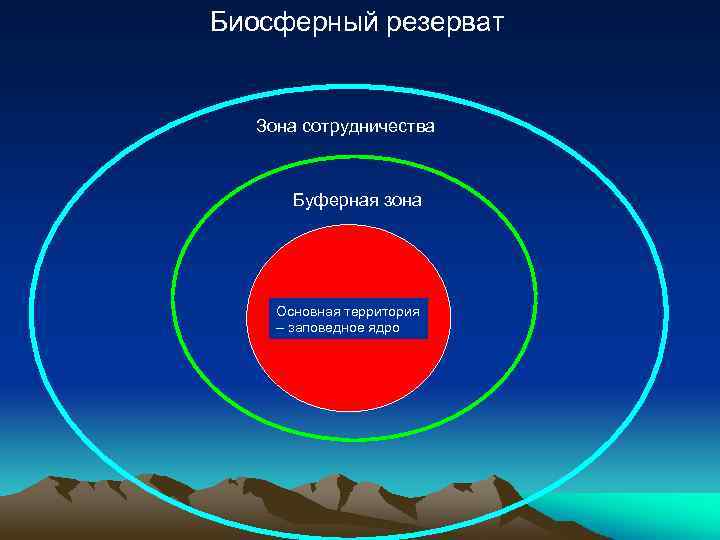 Биосферный резерват Зона сотрудничества Буферная зона Основная территория – заповедное ядро 