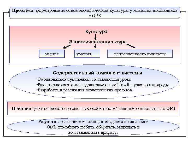 Проблема: формирование основ экологической культуры у младших школьников с ОВЗ Культура Экологическая культура знания