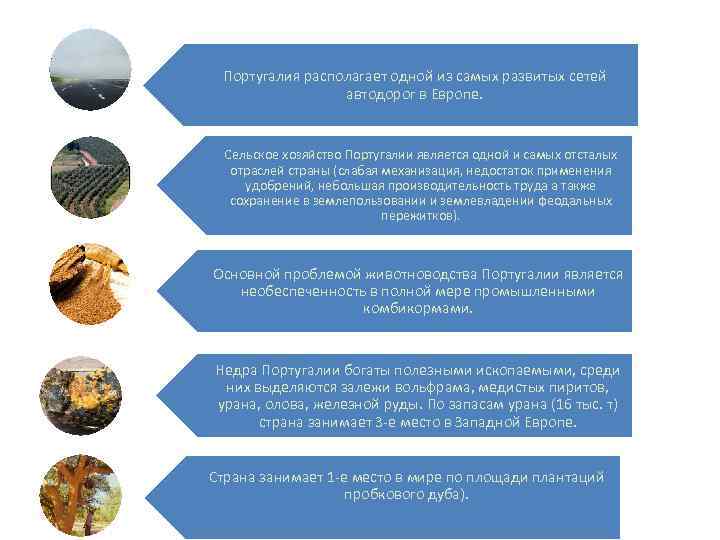 Португалия располагает одной из самых развитых сетей автодорог в Европе. Сельское хозяйство Португалии является