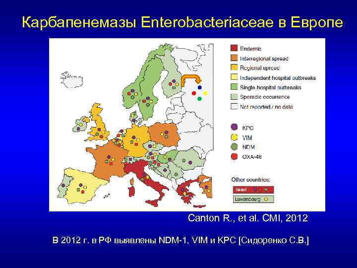 Карбапенемазы Enterobacteriaceae в Европе Canton R. , et al. CMI, 2012 В 2012 г.