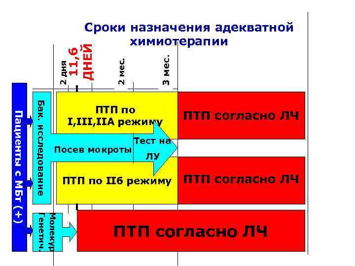 3 мес. 2 дня 11, 6 ДНЕЙ Сроки назначения адекватной химиотерапии Бак. исследование Посев