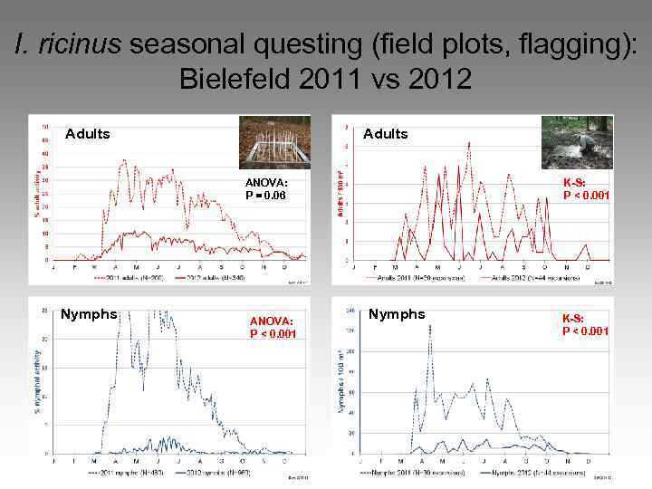 I. ricinus seasonal questing (field plots, flagging): Bielefeld 2011 vs 2012 Adults ANOVA: P