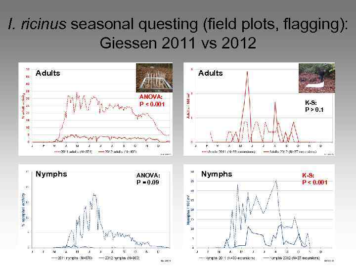 I. ricinus seasonal questing (field plots, flagging): Giessen 2011 vs 2012 Adults ANOVA: P