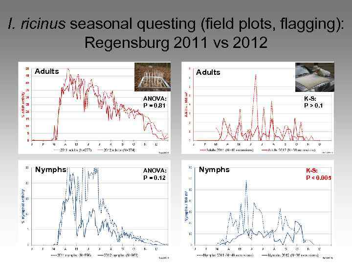 I. ricinus seasonal questing (field plots, flagging): Regensburg 2011 vs 2012 Adults ANOVA: P
