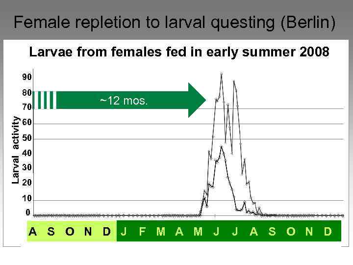 Female repletion to larval questing (Berlin) Larvae from females fed in early summer 2008
