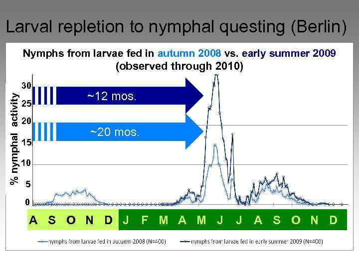 Larval repletion to nymphal questing (Berlin) Nymphs from larvae fed in autumn 2008 vs.