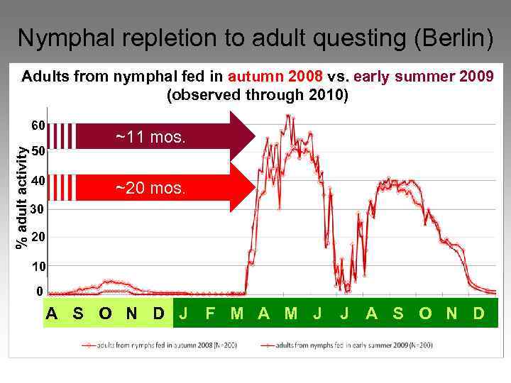 Nymphal repletion to adult questing (Berlin) Adults from nymphal fed in autumn 2008 vs.