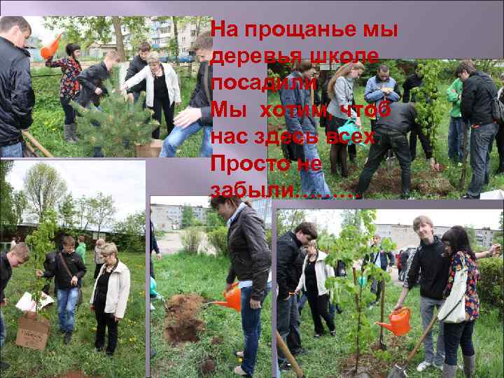 На прощанье мы деревья школе посадили Мы хотим, чтоб нас здесь всех Просто не