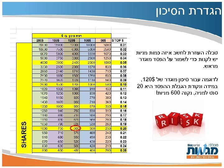  הגדרת הסיכון טבלה העוזרת לחשב איזה כמות מניות יש לקנות כדי לשמור על