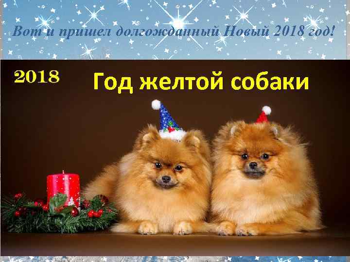 Вот и пришел долгожданный Новый 2018 год! Год желтой собаки 