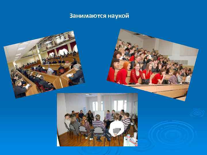 Занимаются наукой 