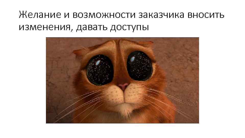 Желание и возможности заказчика вносить изменения, давать доступы 