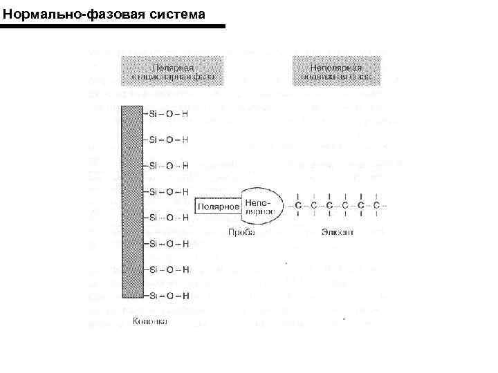 Нормально-фазовая система 