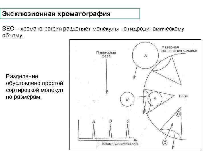 Эксклюзионная хроматография SEC – хроматография разделяет молекулы по гидродинамическому объему. Разделение обусловлено простой сортировкой