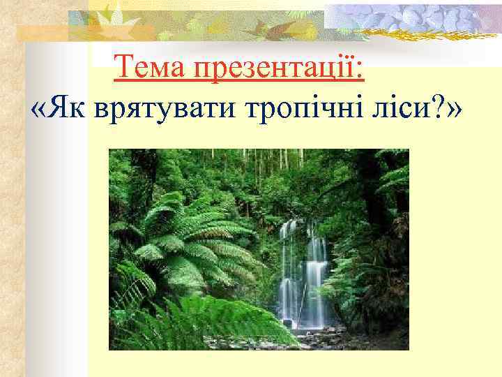  Тема презентації: «Як врятувати тропічні ліси? » 