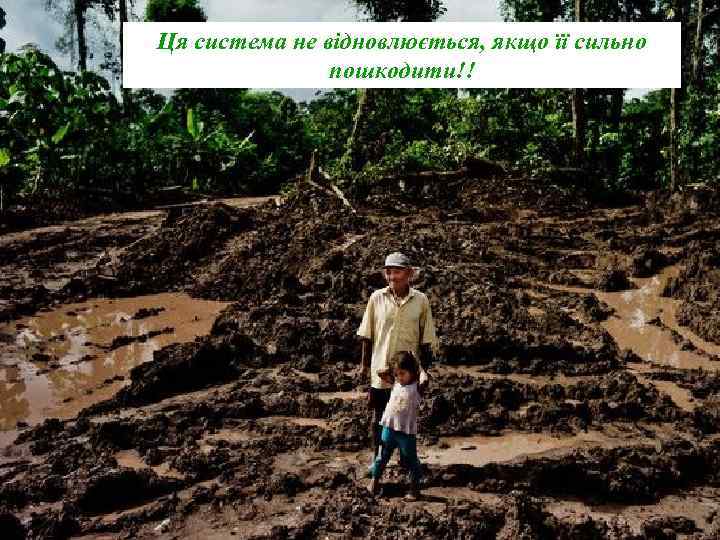 Ця система не відновлюється, якщо її сильно пошкодити!! 