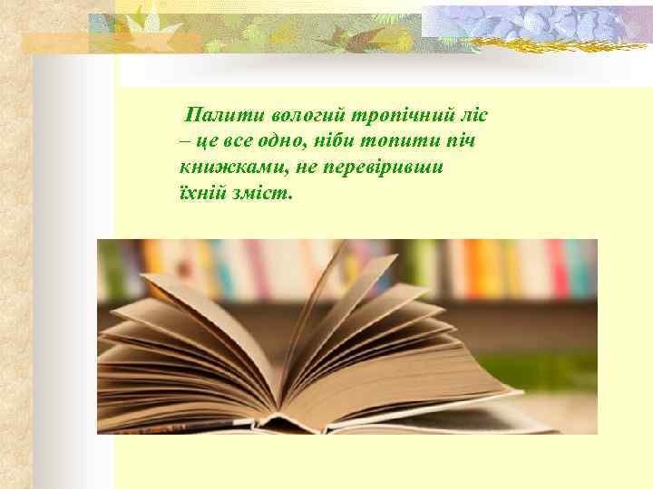  Палити вологий тропічний ліс – це все одно, ніби топити піч книжками, не