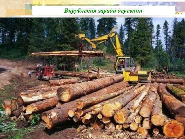 Вирублення заради деревини 