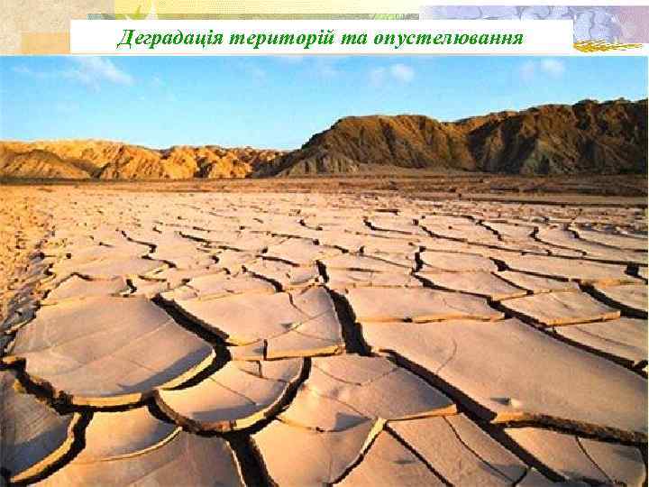 Деградація територій та опустелювання 