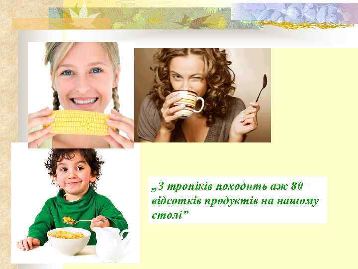 „З тропіків походить аж 80 відсотків продуктів на нашому столі” 