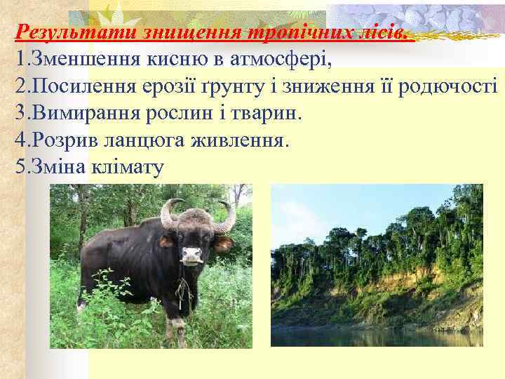 Результати знищення тропічних лісів. 1. Зменшення кисню в атмосфері, 2. Посилення ерозії ґрунту і