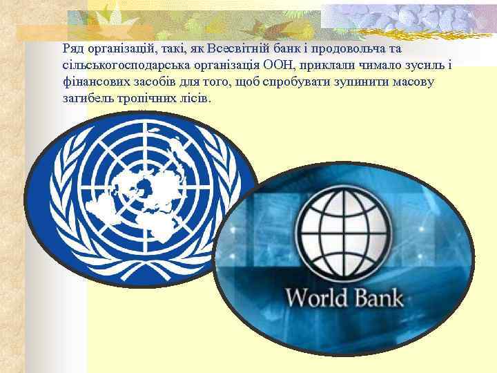Ряд організацій, такі, як Всесвітній банк і продовольча та сільськогосподарська організація ООН, приклали чимало